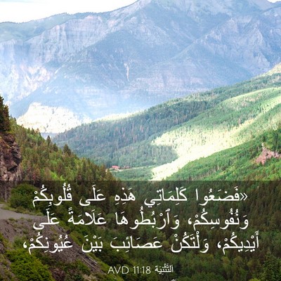 Picture 03 - اَلتَّثْنِيَة 11:18 AVD - «فَضَعُوا كَلِمَاتِي - Bible Verse Picture