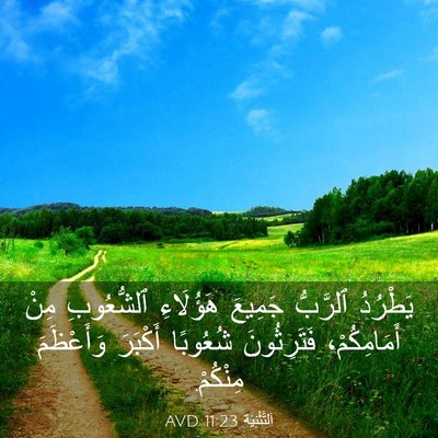 Picture 03 - اَلتَّثْنِيَة 11:23 AVD - يَطْرُدُ ٱلرَّبُّ جَمِيعَ - Bible Verse Picture