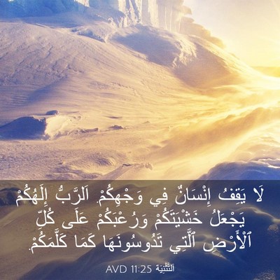 Picture 03 - اَلتَّثْنِيَة 11:25 AVD - لَا يَقِفُ إِنْسَانٌ فِي - Bible Verse Picture