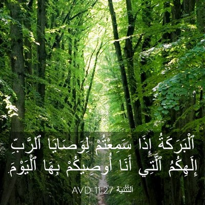 Picture 03 - اَلتَّثْنِيَة 11:27 AVD - ٱلْبَرَكَةُ إِذَا - Bible Verse Picture