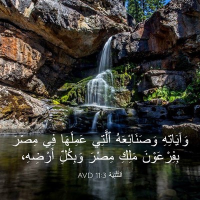 Picture 03 - اَلتَّثْنِيَة 11:3 AVD - وَآيَاتِهِ وَصَنَائِعَهُ - Bible Verse Picture