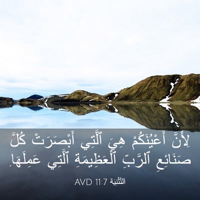Picture 03 - اَلتَّثْنِيَة 11:7 AVD - لِأَنَّ أَعْيُنَكُمْ هِيَ - Bible Verse Picture