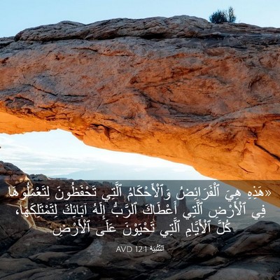 Picture 03 - اَلتَّثْنِيَة 12:1 AVD - «هَذِهِ هِيَ ٱلْفَرَائِضُ - Bible Verse Picture