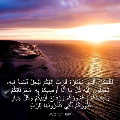 Picture 03 - اَلتَّثْنِيَة 12:11 AVD - فَٱلْمَكَانُ ٱلَّذِي - Bible Verse Picture
