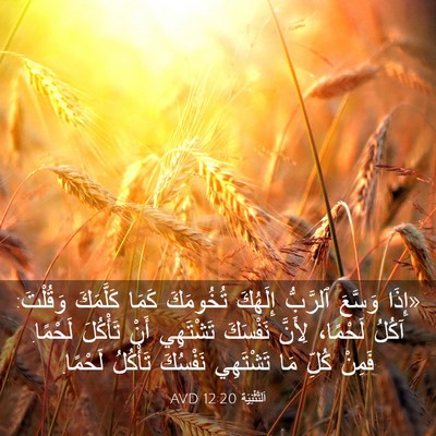 Picture 03 - اَلتَّثْنِيَة 12:20 AVD - «إِذَا وَسَّعَ ٱلرَّبُّ - Bible Verse Picture