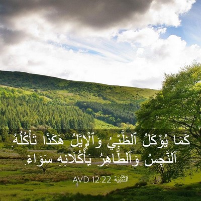 Picture 03 - اَلتَّثْنِيَة 12:22 AVD - كَمَا يُؤْكَلُ ٱلظَّبْيُ - Bible Verse Picture