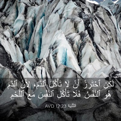 Picture 03 - اَلتَّثْنِيَة 12:23 AVD - لَكِنِ ٱحْتَرِزْ أَنْ لَا - Bible Verse Picture