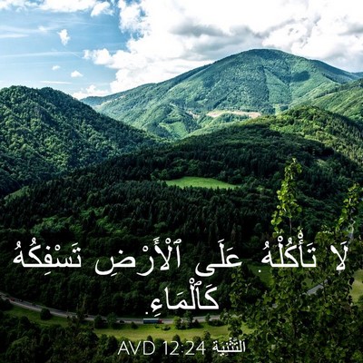 Picture 03 - اَلتَّثْنِيَة 12:24 AVD - لَا تَأْكُلْهُ. عَلَى - Bible Verse Picture