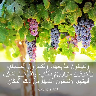 Picture 03 - اَلتَّثْنِيَة 12:3 AVD - وَتَهْدِمُونَ - Bible Verse Picture