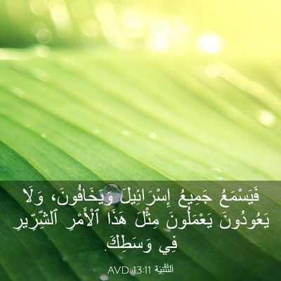 Picture 03 - اَلتَّثْنِيَة 13:11 AVD - فَيَسْمَعُ جَمِيعُ - Bible Verse Picture