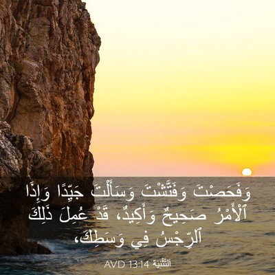 Picture 03 - اَلتَّثْنِيَة 13:14 AVD - وَفَحَصْتَ وَفَتَّشْتَ - Bible Verse Picture