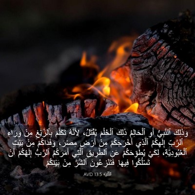 Picture 03 - اَلتَّثْنِيَة 13:5 AVD - وَذَلِكَ ٱلنَّبِيُّ أَوِ - Bible Verse Picture