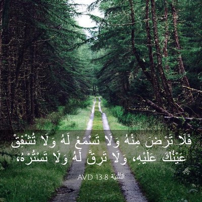 Picture 03 - اَلتَّثْنِيَة 13:8 AVD - فَلَا تَرْضَ مِنْهُ وَلَا - Bible Verse Picture