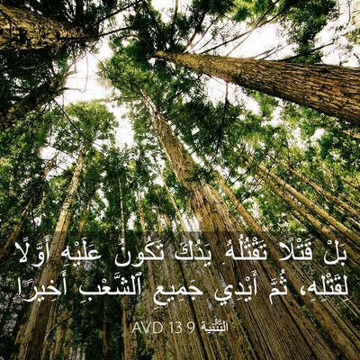 Picture 03 - اَلتَّثْنِيَة 13:9 AVD - بَلْ قَتْلًا تَقْتُلُهُ. - Bible Verse Picture