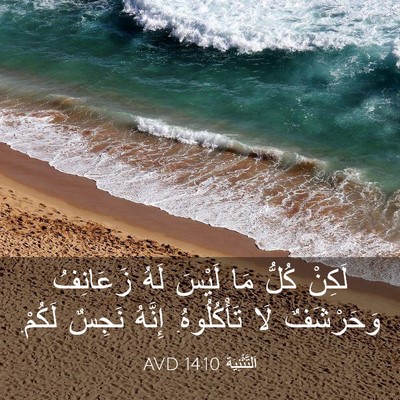 Picture 03 - اَلتَّثْنِيَة 14:10 AVD - لَكِنْ كُلُّ مَا لَيْسَ - Bible Verse Picture