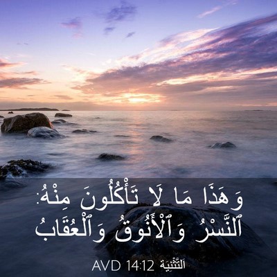 Picture 03 - اَلتَّثْنِيَة 14:12 AVD - وَهَذَا مَا لَا - Bible Verse Picture