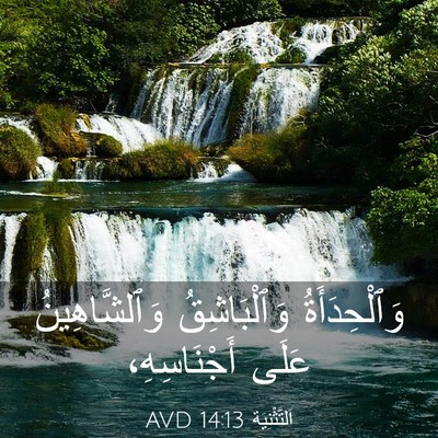 Picture 03 - اَلتَّثْنِيَة 14:13 AVD - وَٱلْحِدَأَةُ - Bible Verse Picture