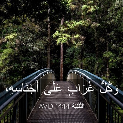 Picture 03 - اَلتَّثْنِيَة 14:14 AVD - وَكُلُّ غُرَابٍ عَلَى - Bible Verse Picture
