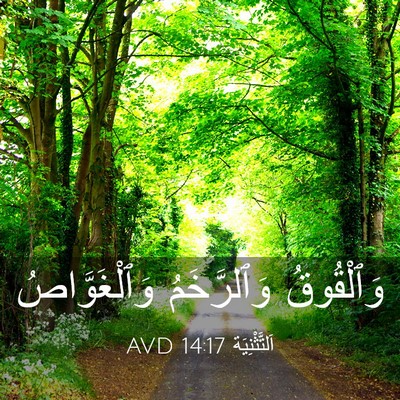 Picture 03 - اَلتَّثْنِيَة 14:17 AVD - وَٱلْقُوقُ وَٱلرَّخَمُ - Bible Verse Picture