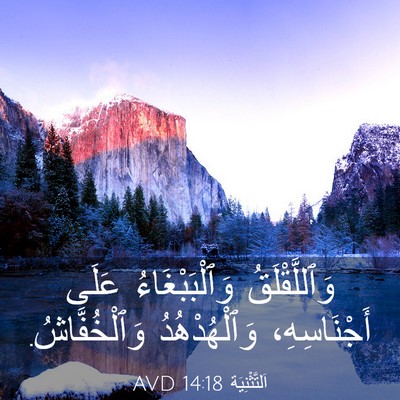 Picture 03 - اَلتَّثْنِيَة 14:18 AVD - وَٱللَّقْلَقُ - Bible Verse Picture