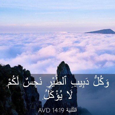 Picture 03 - اَلتَّثْنِيَة 14:19 AVD - وَكُلُّ دَبِيبِ ٱلطَّيْرِ - Bible Verse Picture
