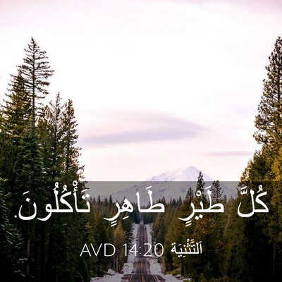 Picture 03 - اَلتَّثْنِيَة 14:20 AVD - كُلَّ طَيْرٍ طَاهِرٍ - Bible Verse Picture