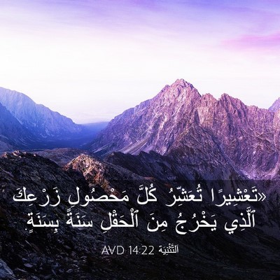 Picture 03 - اَلتَّثْنِيَة 14:22 AVD - «تَعْشِيرًا تُعَشِّرُ - Bible Verse Picture