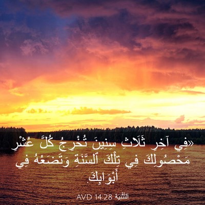 Picture 03 - اَلتَّثْنِيَة 14:28 AVD - «فِي آخِرِ ثَلَاثِ سِنِينَ - Bible Verse Picture