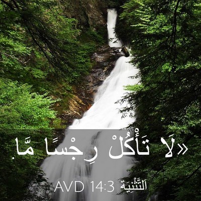 Picture 03 - اَلتَّثْنِيَة 14:3 AVD - «لَا تَأْكُلْ رِجْسًا - Bible Verse Picture