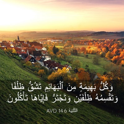 Picture 03 - اَلتَّثْنِيَة 14:6 AVD - وَكُلُّ بَهِيمَةٍ مِنَ - Bible Verse Picture