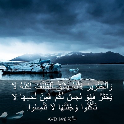 Picture 03 - اَلتَّثْنِيَة 14:8 AVD - وَٱلْخِنْزِيرُ لِأَنَّهُ - Bible Verse Picture