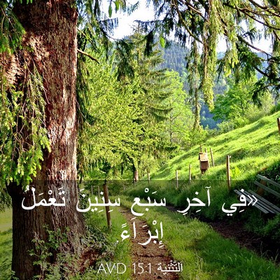 Picture 03 - اَلتَّثْنِيَة 15:1 AVD - «فِي آخِرِ سَبْعِ سِنِينَ - Bible Verse Picture