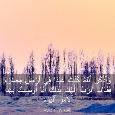 Picture 03 - اَلتَّثْنِيَة 15:15 AVD - وَٱذْكُرْ أَنَّكَ كُنْتَ - Bible Verse Picture