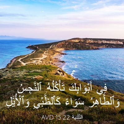 Picture 03 - اَلتَّثْنِيَة 15:22 AVD - فِي أَبْوَابِكَ - Bible Verse Picture