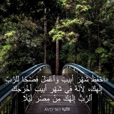 Picture 03 - اَلتَّثْنِيَة 16:1 AVD - «اِحْفَظْ شَهْرَ أَبِيبَ - Bible Verse Picture