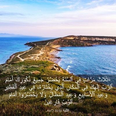 Picture 03 - اَلتَّثْنِيَة 16:16 AVD - «ثَلَاثَ مَرَّاتٍ فِي - Bible Verse Picture