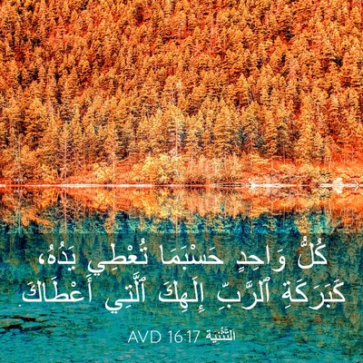 Picture 03 - اَلتَّثْنِيَة 16:17 AVD - كُلُّ وَاحِدٍ حَسْبَمَا - Bible Verse Picture