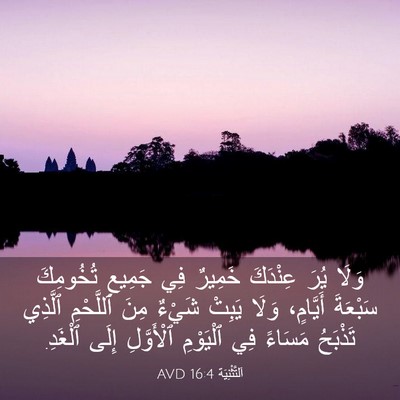 Picture 03 - اَلتَّثْنِيَة 16:4 AVD - وَلَا يُرَ عِنْدَكَ - Bible Verse Picture