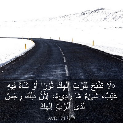 Picture 03 - اَلتَّثْنِيَة 17:1 AVD - «لَا تَذْبَحْ لِلرَّبِّ - Bible Verse Picture