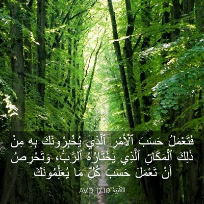 Picture 03 - اَلتَّثْنِيَة 17:10 AVD - فَتَعْمَلُ حَسَبَ - Bible Verse Picture