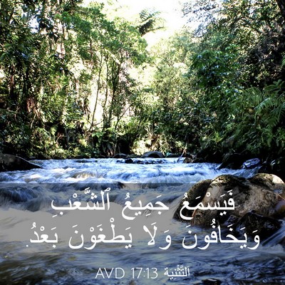 Picture 03 - اَلتَّثْنِيَة 17:13 AVD - فَيَسْمَعُ جَمِيعُ - Bible Verse Picture