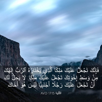 Picture 03 - اَلتَّثْنِيَة 17:15 AVD - فَإِنَّكَ تَجْعَلُ - Bible Verse Picture