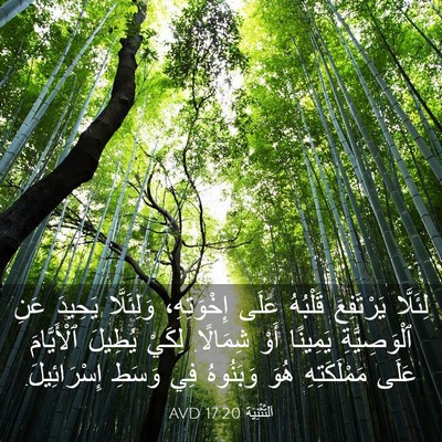 Picture 03 - اَلتَّثْنِيَة 17:20 AVD - لِئَلَّا يَرْتَفِعَ - Bible Verse Picture