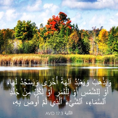 Picture 03 - اَلتَّثْنِيَة 17:3 AVD - وَيَذْهَبُ وَيَعْبُدُ - Bible Verse Picture