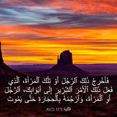 Picture 03 - اَلتَّثْنِيَة 17:5 AVD - فَأَخْرِجْ ذَلِكَ - Bible Verse Picture