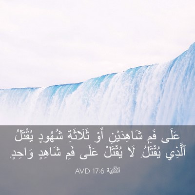 Picture 03 - اَلتَّثْنِيَة 17:6 AVD - عَلَى فَمِ شَاهِدَيْنِ - Bible Verse Picture