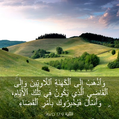 Picture 03 - اَلتَّثْنِيَة 17:9 AVD - وَٱذْهَبْ إِلَى - Bible Verse Picture