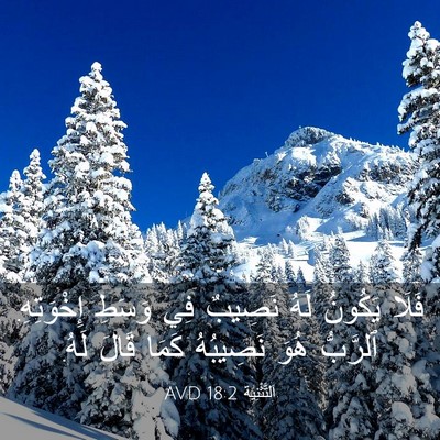 Picture 03 - اَلتَّثْنِيَة 18:2 AVD - فَلَا يَكُونُ لَهُ نَصِيبٌ - Bible Verse Picture