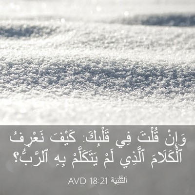 Picture 03 - اَلتَّثْنِيَة 18:21 AVD - وَإِنْ قُلْتَ فِي - Bible Verse Picture