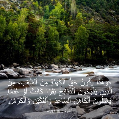 Picture 03 - اَلتَّثْنِيَة 18:3 AVD - «وَهَذَا يَكُونُ حَقُّ - Bible Verse Picture